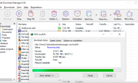 Internet Download Manager 绿色特别版（IDM下载器）（更新至v6.42.9版本）